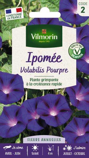 Fleurs - Ipomée Volubilis Pourpre - PACKAGING_RECTO